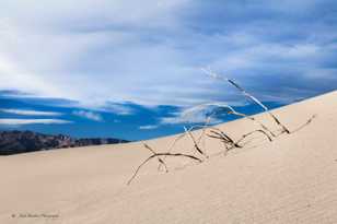 Mesquite Dunes-6215.jpg